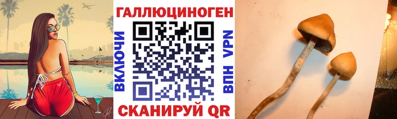 Галлюциногенные грибы ЛСД  Вельск 